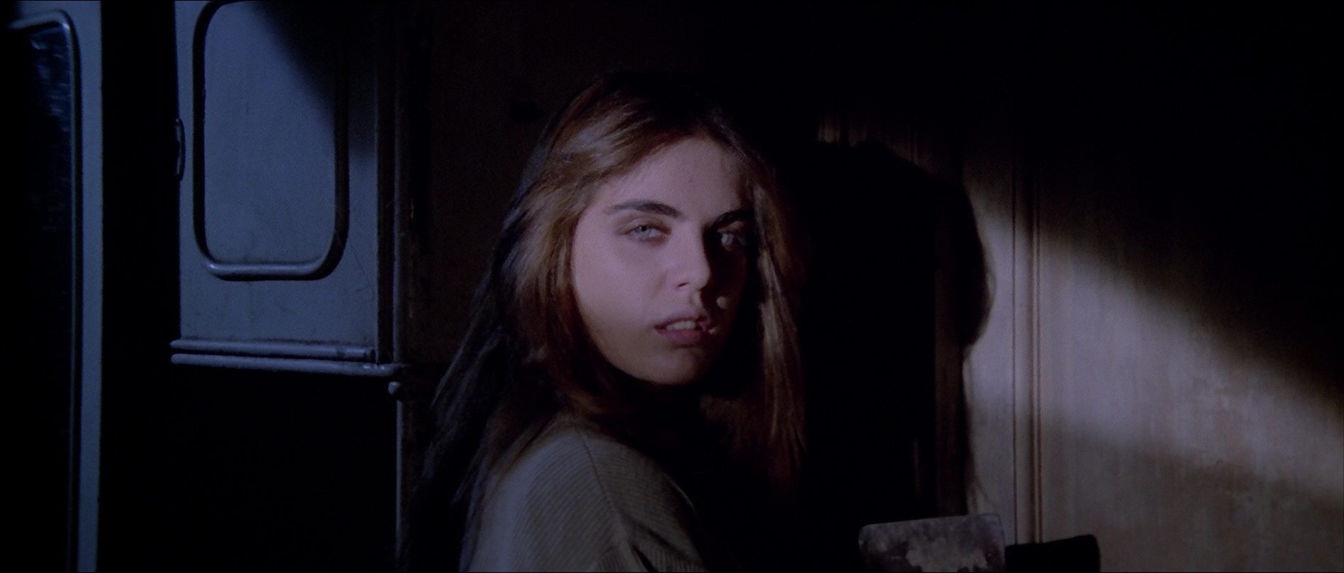 http://sinsofcinema.com/Images/House%20by%20the%20Cemetery/House%20by%20the%20Cemetery%20Blu-Ray.jpg